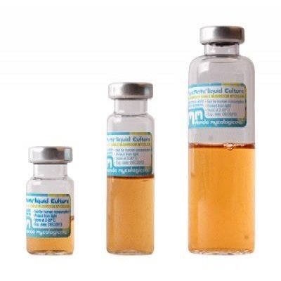 Buy online Liquid Culture Growth psilocybin vial USA Europe